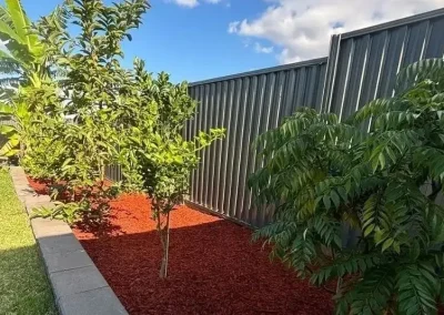 garden landscaping western Sydney (2)